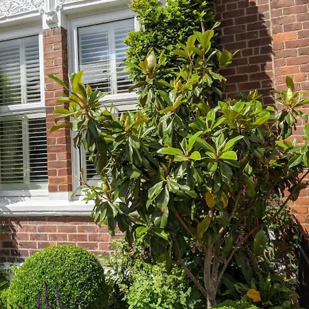 Sidney Grove B&B-2